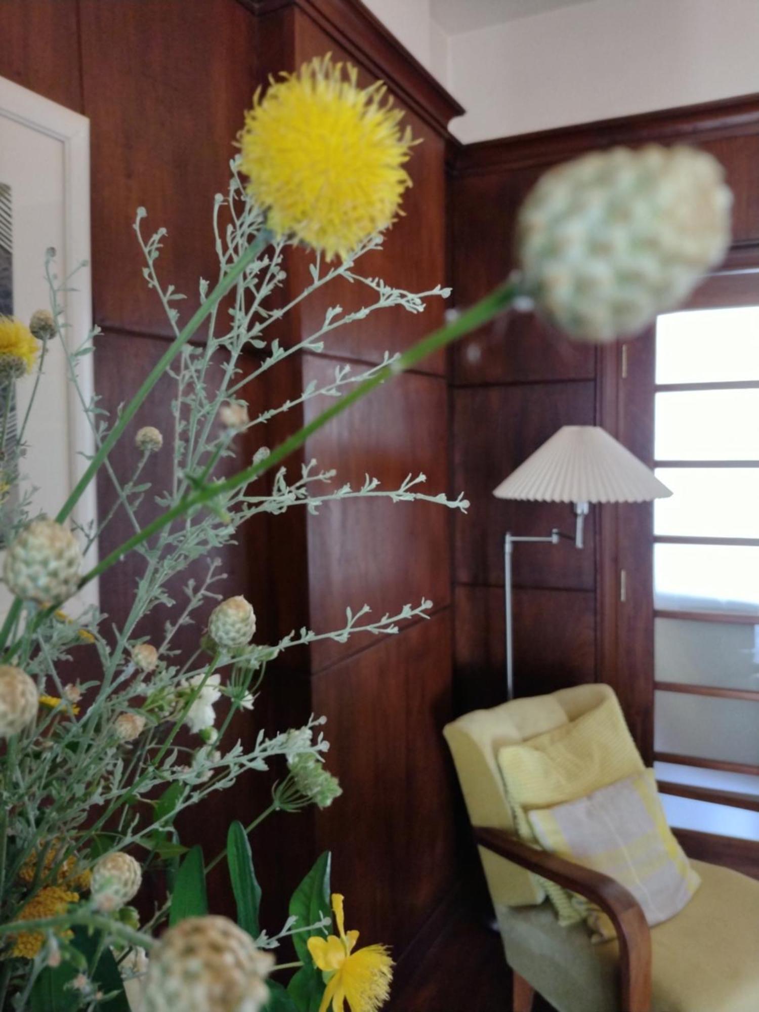 Art Studio Turnovo Apartment Veliko Tarnovo Ngoại thất bức ảnh
